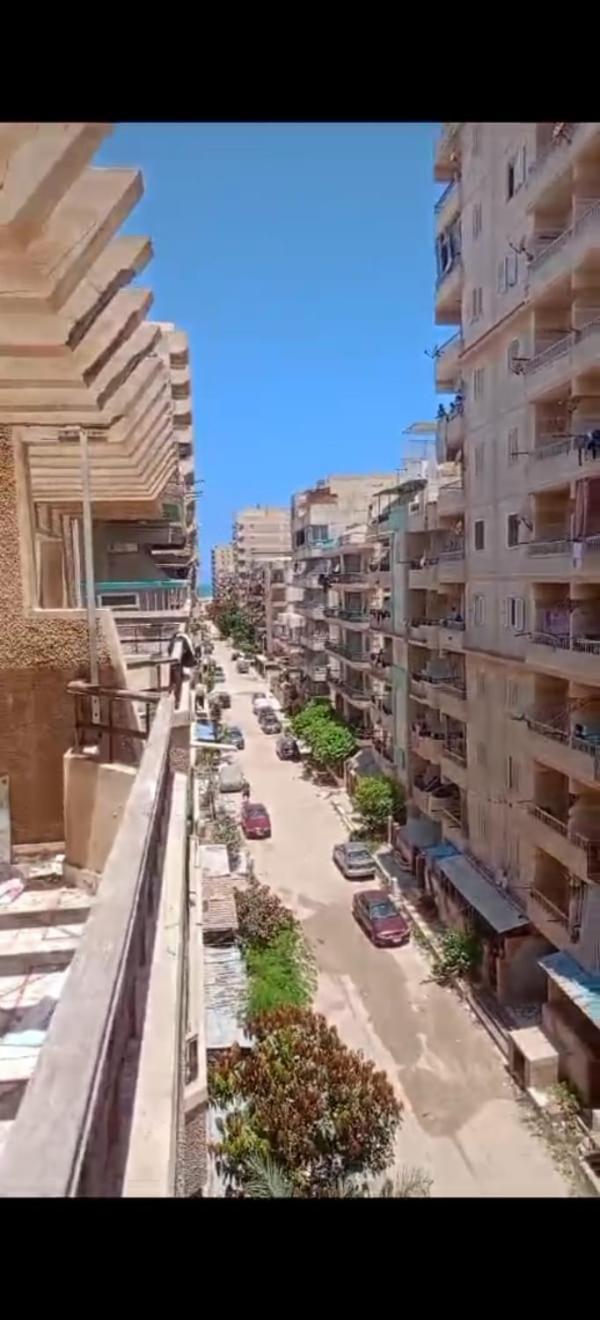 شقه رائعه بشاطىء النخيل * İskenderiye